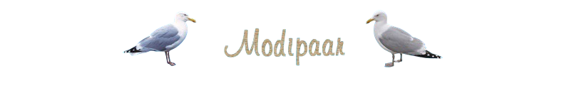 Moderatoren paare