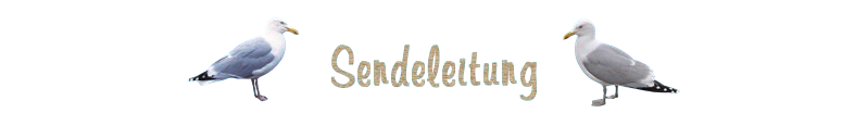 Sendeleitung